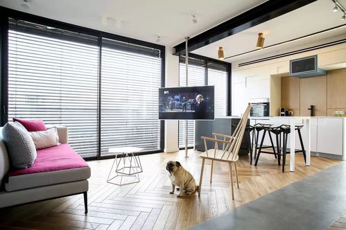 打破視覺(jué)壁壘 巧拆電視背景墻，實(shí)現(xiàn)客廳擴(kuò)容與空間美學(xué)重構(gòu)